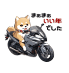 バイク好き柴犬♡年末年始 年賀（個別スタンプ：27）