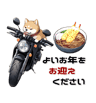 バイク好き柴犬♡年末年始 年賀（個別スタンプ：31）