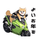 バイク好き柴犬♡年末年始 年賀（個別スタンプ：32）