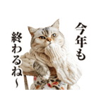 猫ママ 【年末年始】（個別スタンプ：10）