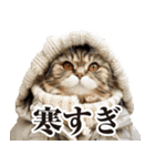 猫ママ 【年末年始】（個別スタンプ：12）