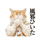 猫ママ 【年末年始】（個別スタンプ：20）