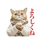 猫ママ 【年末年始】（個別スタンプ：25）