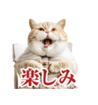 猫ママ 【年末年始】（個別スタンプ：30）