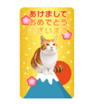 かわいい猫写真♪年賀BIGスタンプ 2025（個別スタンプ：2）