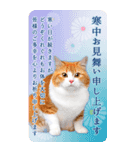 かわいい猫写真♪年賀BIGスタンプ 2025（個別スタンプ：13）