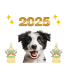 2025 ボーダーコリー子犬（個別スタンプ：2）