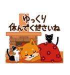 柴犬「ムサシ」59 お正月とクリスマス（個別スタンプ：30）