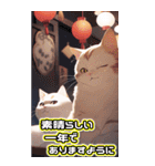 【BIG】ねこの楽園♡年末年始 年賀（個別スタンプ：24）