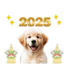 2025 ゴールデンレトリバーの子犬（個別スタンプ：2）