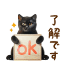 ▶飛び出る黒ねこのきづかい敬語（個別スタンプ：1）