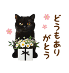 ▶飛び出る黒ねこのきづかい敬語（個別スタンプ：4）