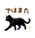 ▶飛び出る黒ねこのきづかい敬語（個別スタンプ：24）