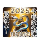 ▶︎飛び出す！オネエことば謹賀新年2025！（個別スタンプ：15）