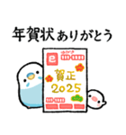 おらの動物園84-1あけおめ★セキセイインコ（個別スタンプ：11）