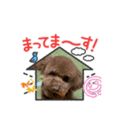 あずきいろはうらら（個別スタンプ：8）