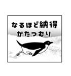 オタク仕草アデリーペンギン＆仲間たち②（個別スタンプ：12）