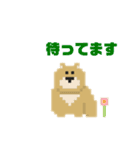 わんこと日常2(ドット絵)（個別スタンプ：34）