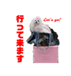 わたすげワンコ（個別スタンプ：18）