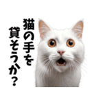 びっくり猫！驚きの日常（個別スタンプ：2）