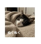 ねるにゃんこ（個別スタンプ：6）