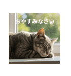 ねるにゃんこ（個別スタンプ：8）