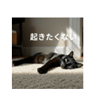 ねるにゃんこ（個別スタンプ：12）