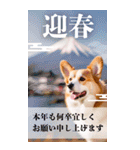 リアル可愛いコーギーのあけおめBIG（個別スタンプ：15）