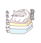 ラグドールねこスタンプ（個別スタンプ：11）