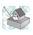 ラグドールねこスタンプ（個別スタンプ：21）