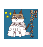 ラグドールねこスタンプ（個別スタンプ：38）