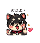 【毎日】使える黒柴犬の可愛いスタンプ（個別スタンプ：1）