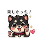 【毎日】使える黒柴犬の可愛いスタンプ（個別スタンプ：6）