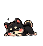 【毎日】使える黒柴犬の可愛いスタンプ（個別スタンプ：16）