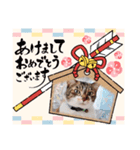 お正月読み聞かせさんと猫スタンプ4（個別スタンプ：1）