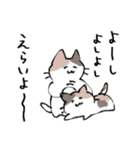 ゆるい元気なみけねこ（個別スタンプ：13）