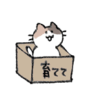 ゆるい元気なみけねこ（個別スタンプ：34）