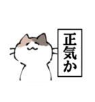 ゆるい元気なみけねこ（個別スタンプ：39）