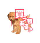 うちのイッヌをあつめました（個別スタンプ：9）