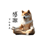 柴犬太のマインドフルネス（個別スタンプ：3）