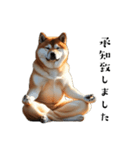 柴犬太のマインドフルネス（個別スタンプ：4）