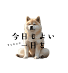 柴犬太のマインドフルネス（個別スタンプ：5）