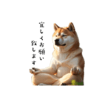 柴犬太のマインドフルネス（個別スタンプ：6）