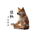 柴犬太のマインドフルネス（個別スタンプ：8）
