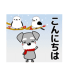 ずっと使えるシュナウザー 冬＋年賀状（個別スタンプ：10）