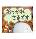 【実写版！？普段使い】お菓子なおばけ（個別スタンプ：8）