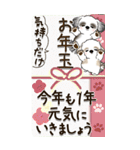 【Big】シーズー犬たち 『お祝いの言葉』（個別スタンプ：11）