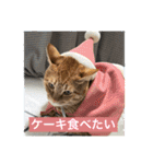 ちゃぴもかすみこ第4弾（個別スタンプ：2）