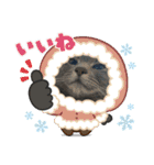 ちゃぴもかすみこ第4弾（個別スタンプ：11）