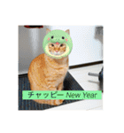ちゃぴもかすみこ第4弾（個別スタンプ：13）